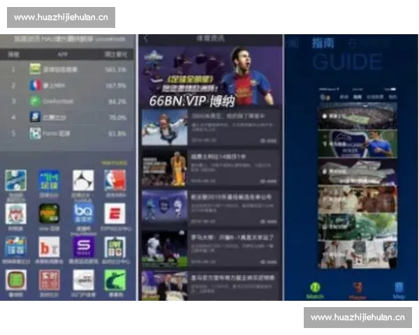 打造全方位运动管理体验的专业体育APP官方版本发布